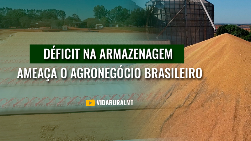 DÉFICIT NA ARMAZENAGEM AMEAÇA O AGRONEGÓCIO BRASILEIRO
